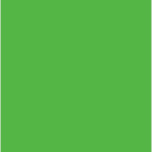 RAL6038 Luminous green 