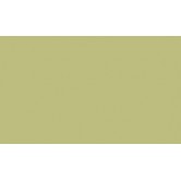 RAL 1000 - Green beige 
