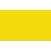 RAL 1021 - Rape yellow 