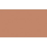 RAL 3012 - Beige red 