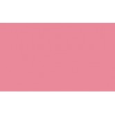 RAL 3015 - Light pink 