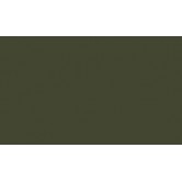 RAL 6003 - Olive green 