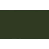 RAL 6020 - Chrome green 