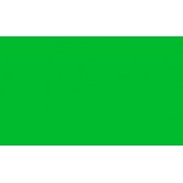 RAL 6038 - Luminous green 
