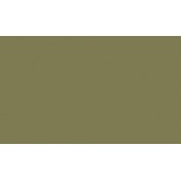 RAL 7002 - Olive grey 
